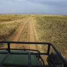 WHERE THE LAND GOES ON FOREVER