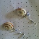 Silver shell earrings with white and light blue beads.