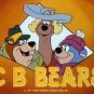 CB BEARS CARTOON 1977 COMPLETE ON DVD W/DVD CASE