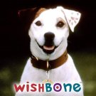 WISHBONE TV Series ON BLU-RAY All 50 Complete episodes W/DVD CASE