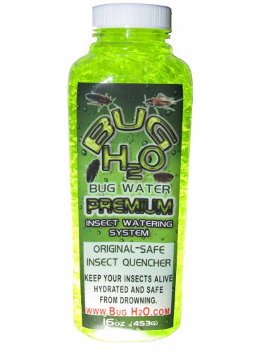 Cricket Insect Water Gel-16oz BugWater-Dubia Roaches Love It