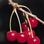 TGC: Instant Cherry Tea