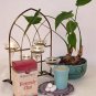 MP: Heavenly Chai