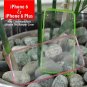 Ultra Thin Transparent Crystal Clear Hard Case for iPhone 6 4.7", 6 Plus 5.5 inch Fluorescent Cover