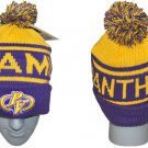 Prairie View A&M University BALL BEANIE CAP HBCU SKI CAP SKULL CAP BEANIE