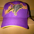 Prairie View A & M University Baseball Cap Prairie View  baseball Hat Cap 2