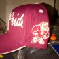 Alabama A&M BULLDOG PRIDE Baseball Cap Hat Alabama A&M University baseball Cap 1