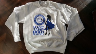 ZETA PHI BETA Pullover Sweatshirt Top Classy Sassy Bold Beautiful Crew Neck Top