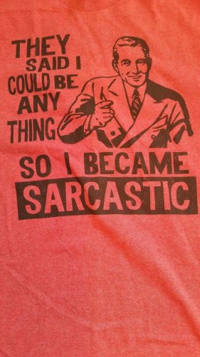RED SHORT SLEEVE SARCASTIC T-SHIRT RED SHORT SLEEVE NOVELTY TEE SHIRT L