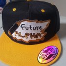 FUTURE ALPHA Snapback baseball Hat Kids Baseball Cap 1906 ALPHA PHI ALPHA 1