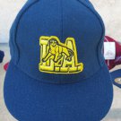 American Professional Football League LA WILDCATS Baseball Hat 7