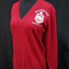 DELTA SIGMA THETA SORORITY SWEATER DELTA DIVA PULLOVER V-NECK SWEATER 1913 #1
