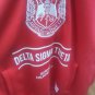DELTA SIGMA THETA SORORITY Pullover Hoodie jacket 1913 DST FORTITUDE
