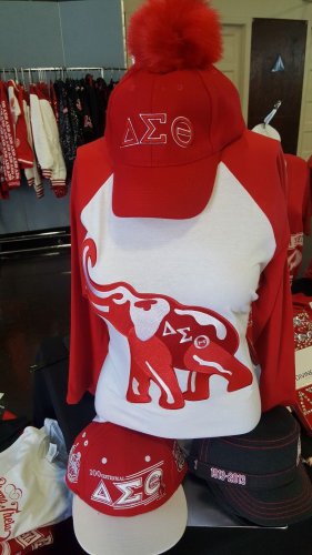 DELTA SIGMA THETA Long sleeve T-shirt 1913 White Delta DIVA Raglan SHIRT OO-OOP