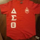 DELTA SIGMA THETA SORORITY BASEBALL JERSEY DELTA DIVA BASEBALL JERSEY