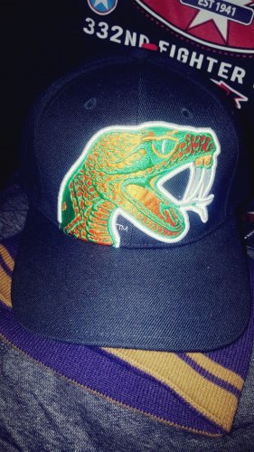Florida A&M University Baseball Cap Hat SWAC Cadet Hat Rattlers FAMU