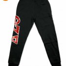 DELTA SIGMA THETA SORORITY JOGGER  PANTS 1913 DELTA DIVA FORTITUDE OO-OOP