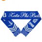 ZETA PHI BETA SORORITY BLUE Neck Scarf ZETA FASHION SCARF WRAP 1920 #5