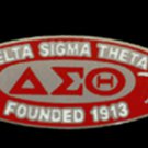 Delta Sigma Theta Sorority Silver Chain Necklace Divine 9 Sorority Necklace  #1