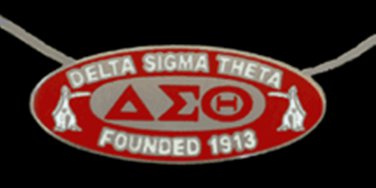 Delta Sigma Theta Sorority Silver Chain Necklace Divine 9 Sorority Necklace  #1
