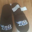 Zeta Phi Beta Sorority Slippers INDOOR POOL OUTDOOR Divine 9 House shoes