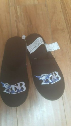 Zeta Phi Beta Sorority Slippers INDOOR POOL OUTDOOR Divine 9 House shoes