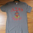 DELTA SIGMA THETA SORORITY T-SHIRT DELTA DIVA SHORT SLEEVE GRAY T-SHIRT 1913