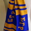 SIGMA GAMMA RHO SORORITY SCARF BLUE GOLD Scarf POODLE FASHION SCARF 1922 #1