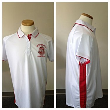 DELTA SIGMA THETA Sorority Short sleeve Polo shirt Golf Casual Dress Polo #1