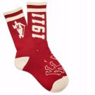 KAPPA ALPHA PSI FRATERNITY TUBE SOCK NUPE FRATERNITY TUBE SOCK SZ 8-12