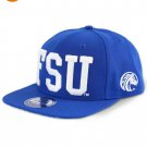 FAYETTEVILLE STATE BASEBALL HAT CAP HBCU BASEBALL CAP