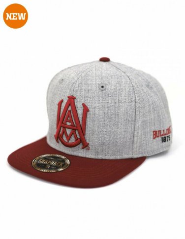 ALABAMA A&M  University Baseball Cap Hat Baseball HBCU BASEBALL HAT