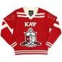 KAPPA ALPHA PSI FRATERNITY WOOL V-NECK SWEATER  PHI NU PI SWEATER TOP