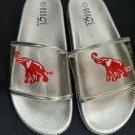 Delta Sigma Theta Clear SLIDERS DELTA DIVA SLIPPER 1913