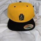 ALPHA PHI ALPHA FRATERNITY BASEBALL HAT CAP 1906 ICE COLD ALPHA PHI ALPHA HAT #2