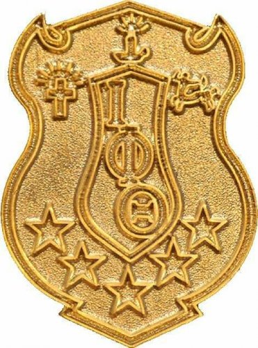IOTA PHI THETA  Fraternity Lapel Pin Fraternity Crest #2