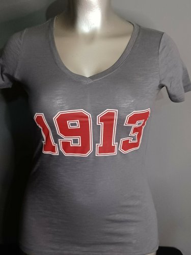 DELTA SIGMA THETA SORORITY V-NECK T-SHIRT DARK GRAY DELTA SIGMA THETA V-NECK