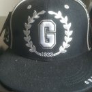 Homestead Grays Negro League Baseball Hat Vintage Negro League Baseball Hat