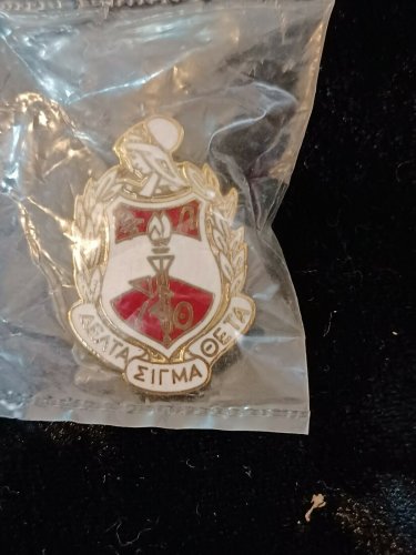 Delta Sigma Theta Sorority Fortitude Lapel Pin  Delta Sigma Theta Crest Pin 1913