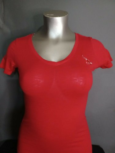 DELTA SIGMA THETA SORORITY RED V-NECK T-SHIRT