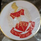 Delta Sigma Theta Sorority Standard Sticker Decal Water Bottle Car sticker