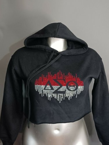 DELTA SIGMA THETA SORORITY CROP TOP SWEATSHIRT TOP DELTA SIGMA THETA HOODIE