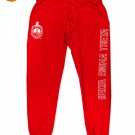 DELTA SIGMA THETA SORORITY JOGGER PANTS DELTA DIVA RED FANCY JOGGER PANTS