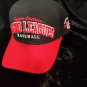 Negro league baseball Commemorative Baseball Cap Discover Greatness NLBM Cap