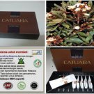 Brazilian Catuaba Improve Sexual Relationship