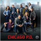 Chicago P.D. Photo 8 inch x 10 inch PHOTOGRAPH Cast Photo on Top of Building kn