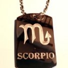 Military Dog Tag Metal Chain Necklace - Celtic Zodiac Signs Sign Scorpio Symbol