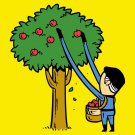 "Part-Time Job Apple Farm" Funny Comic Parody - Rectangle Refrigerator Magnet