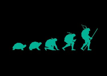"Evolution" Transformation Turtle TV Show Parody - Rectangle Refrigerator Magnet