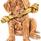 Cute French Mastiff Pet Puppy Dog w/ Bone on White - Vinyl Print Poster